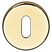 Solid Elements Rozet Sleutelrozet SE 9310 (Diameter: 53 mm, Aluminium EV1, Messing) | BAUHAUS