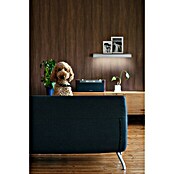 Ledvance LED-Unterbauleuchte Linear Shelf (Länge: 40 cm, Warmweiß) | BAUHAUS