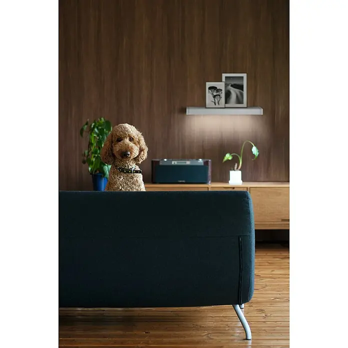 Ledvance LED-Unterbauleuchte Linear Shelf - Länge: 40 cm, Warmweiß - Ein entzückender Pudel blickt über die Rückseite eines eleganten, marineblauen Sofas, das auf einem Holzboden steht, vor einer warmen, holzgetäfelten Wand.