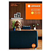 Ledvance LED-Unterbauleuchte Linear Shelf (Länge: 40 cm, Warmweiß) | BAUHAUS