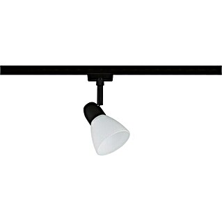 Paulmann URail Regleta Caps (E14, Negro)