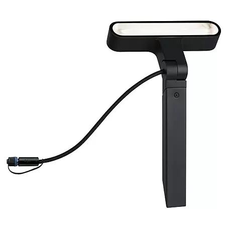 Paulmann Plug & Shine LED-Gartenspot Ito