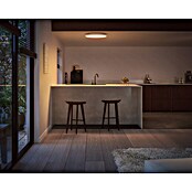 Philips Hue LED-Panel rund Surimu (45 W, Ø x H: 395 x 4,7 cm, Weiß, Opal, RGBW) | BAUHAUS