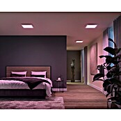 Philips Hue LED-Panel Surimu (24,8 W, L x B x H: 30 x 30 x 4,6 cm, Weiß, Opal, RGBW) | BAUHAUS