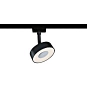 Paulmann URail LED-Spot Circle 3-Step-Dim (Schwarz-matt, Warmweiß) | BAUHAUS