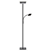 Just Light LED-Stehleuchte Hans (31,5 W, Höhe: 190 cm, Schwarz, Warmweiß) | BAUHAUS