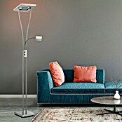 Just Light LED-Stehleuchte Helia (26 W, Höhe: 196 cm, Stahl, RGBW) | BAUHAUS