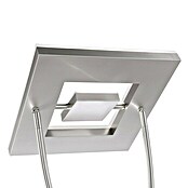 Just Light LED-Stehleuchte Helia (26 W, Höhe: 196 cm, Stahl, RGBW) | BAUHAUS