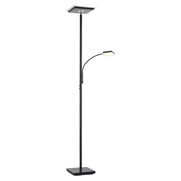 Just Light LED-Stehleuchte Hans (31,5 W, Höhe: 190 cm, Schwarz, Warmweiß) | BAUHAUS