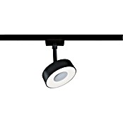 Paulmann URail LED-Spot Circle 3-Step-Dim (Schwarz-matt, Neutralweiß) | BAUHAUS