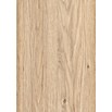 LOGOCLIC Decoration Paneele Eiche Colorado (2.600 x 202 x 10 mm)