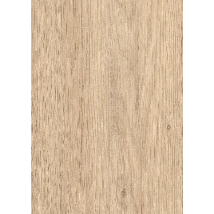 LOGOCLIC Decoration Paneel Eiche Colorado - 2.600 x 202 x 10 mm - Detailaufnahme eines hellen Holzfurniers mit feiner Maserung und natürlichen Astlöchern, ideal für Möbeldesign und Innenarchitektur.