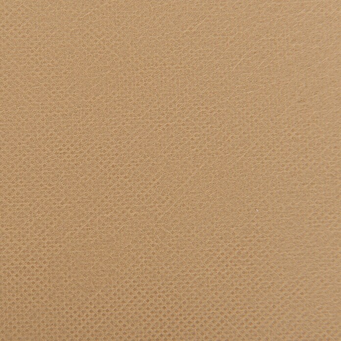 Windhager Winterschutzvlies Protect (L x B: 5 x 1,5 m, Beige, Grammatur: 30 g/m²)