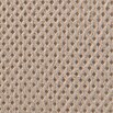 Windhager Winterschutzvlies Superprotect (L x B: 3 x 1,5 m, Beige, Grammatur: 70 g/m²)