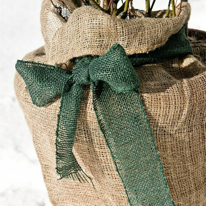 Windhager Jute-Gewebematte Wickelstreifen (L x B: 25 m x 10 cm, Grün)