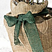 Windhager Jute-Gewebematte Wickelstreifen (L x B: 25 m x 10 cm, Grün)