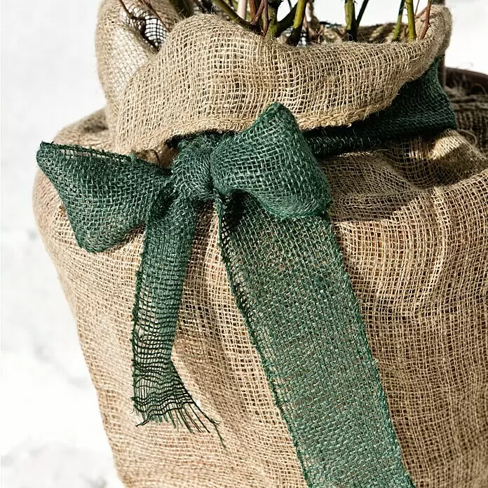 Windhager Jute-Gewebematte - L x B: 25 m x 10 cm, Moosgrün - Pflanze in Naturjute mit grüner Stoffschleife.