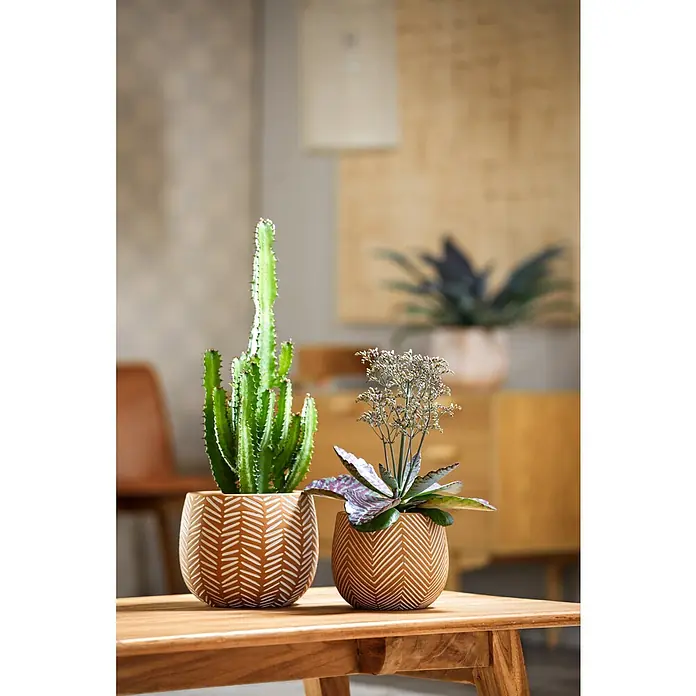 Soendgen Keramik Übertopf rund Ibiza - Außenmaß (Ø x H): 12 x 9 cm, Terrakotta, Keramik, Fischgräte - Zimmerpflanzen, Kaktus und Sukkulente in passenden Töpfen mit geometrischen Mustern, sorgen für einen modernen Touch in jedem Raum.
