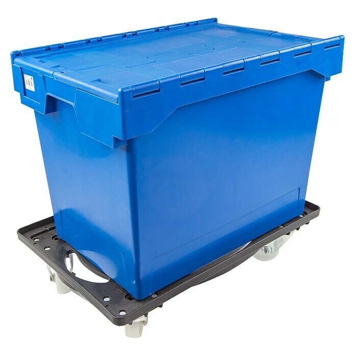 Caja Euro 6444-T (75 l, L x An x Al: 60 x 40 x 40 cm, Se puede cerrar)
