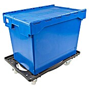 Caja Euro 6444-T (75 l, L x An x Al: 60 x 40 x 40 cm, Se puede cerrar)