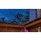 Philips Hue Smart-LED-Lichterkette Festavia (Außen, 24,4 m, Lichtfarbe: RGBW, Anzahl Leuchtmittel: 250 Stk., Netzbetrieben) | BAUHAUS