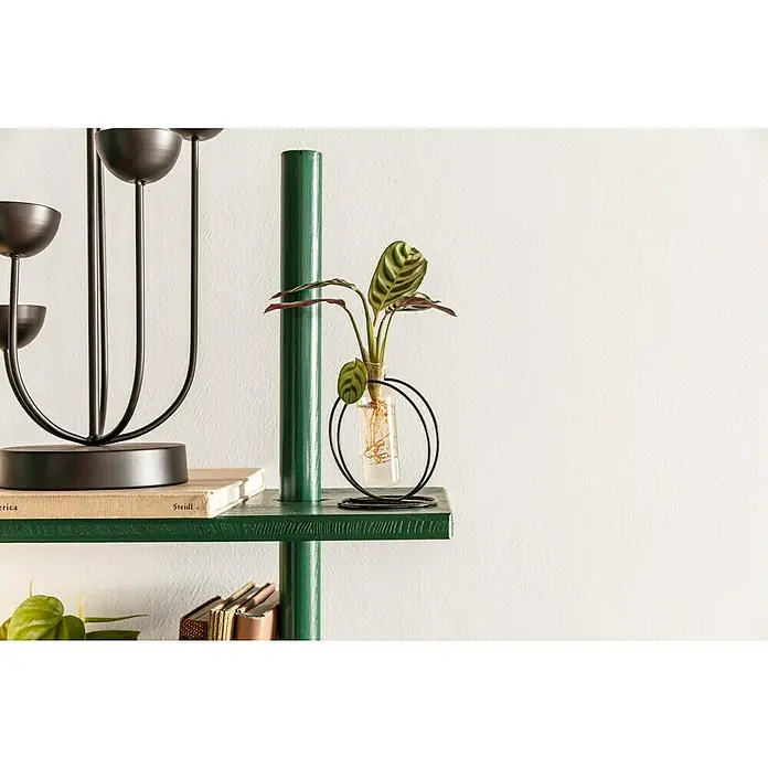 swingcolor Buntlack Acryl - Moosgrün, Seidenmatt, 375 ml, Wasserbasiert - Dekorative Zimmerpflanze in einem Glasgefäß mit schwarzem Metallständer, stilvoll platziert auf einem grünen Regal vor einer weißen Wand.