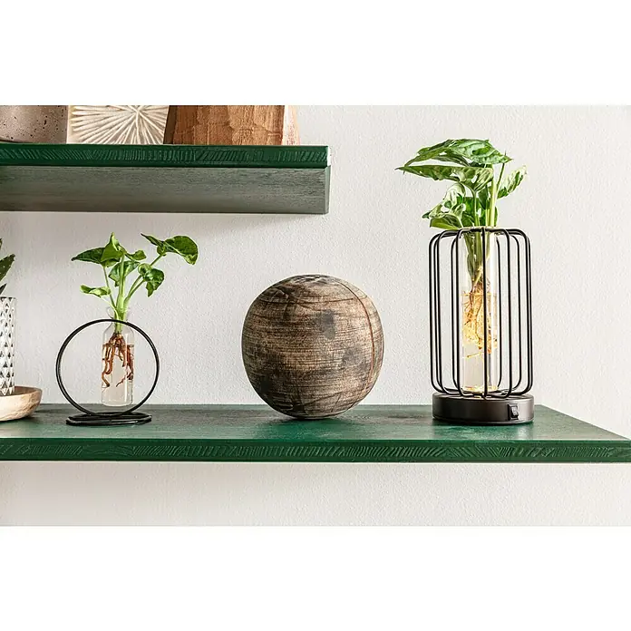 Piardino Zimmerpflanzen-Arrangement Grünpflanze im Glas1 x Grünpflanze, 1 x Glasgefäß im bauchigen Metallgestell - Dekorative Szene mit Pflanzen in Glasgefäßen, einer Holzkugel und grünen Regalen, die eine stilvolle Inneneinrichtung präsentieren.