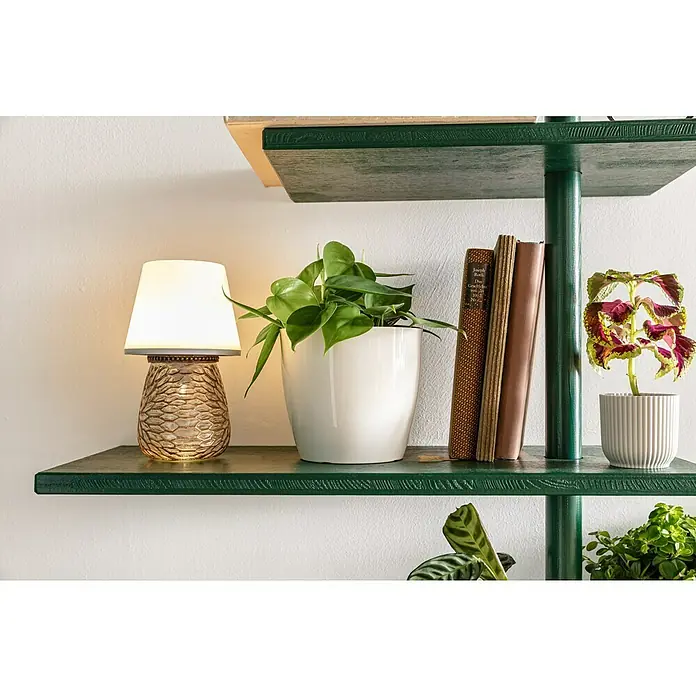 swingcolor Buntlack Acryl - Moosgrün, Seidenmatt, 375 ml, Wasserbasiert - Dekorative Tischleuchte neben Zimmerpflanzen und Büchern auf einem grünen Regal.