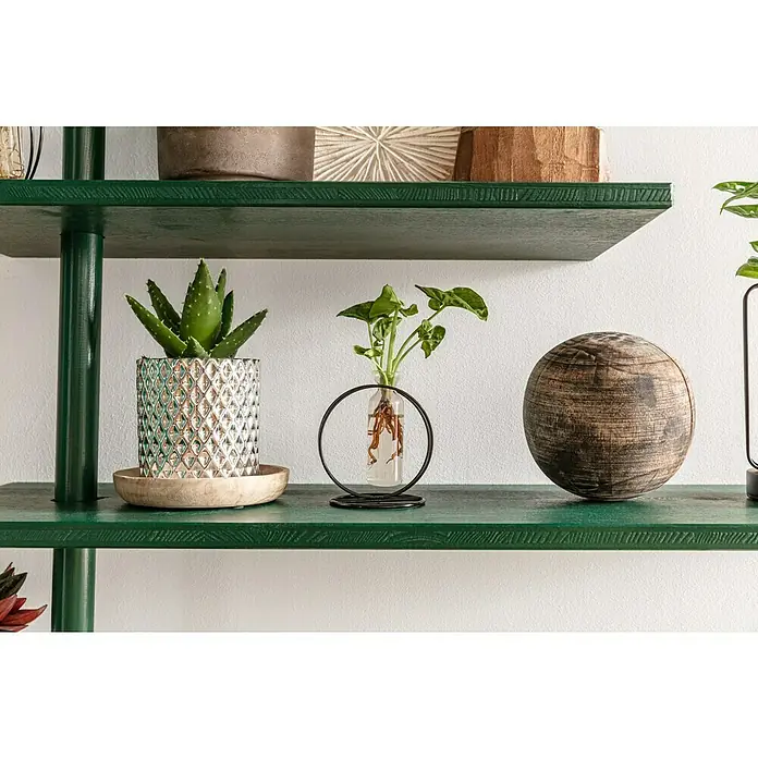 Dekoelement Kugel Albizia - Schwarz gewaschen, Holz, Durchmesser: 15 cm - Regaldekoration mit einer Sukkulente im silberfarbenen Topf, einer Wasserpflanze in Glasvase mit Metallring und einer Holzkugel.