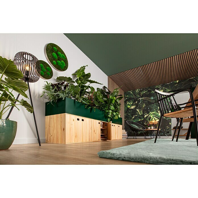 Schöner Wohnen Wandfarbe Designfarbe (Ausgeglichenes Piniengrün, 2,5 l, Feinmatt)