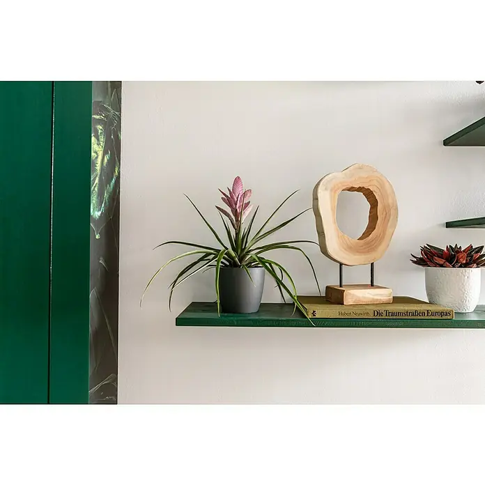 Artevasi San Remo Übertopf rund Matt - Außenmaß (Ø x H): 8 x 7,3 cm, Kunststoff, Anthrazit - Dekorative grüne Regale mit Tillandsia cyanea Pflanze im grauen Topf, Holzskulptur und Sukkulenten im weißen Topf.