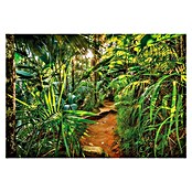 Komar Fototapete Jungle Trail (8-tlg., 368 x 254 cm)