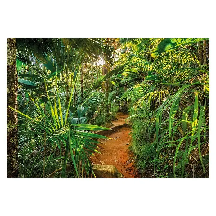 Komar Fototapete Jungle Trail - 8 -tlg., B x H: 368 x 254 cm, Papier - Dschungelpfad mit üppiger Vegetation und warmem Licht, der zum Erkunden einlädt. Perfekt für Abenteuerlustige!