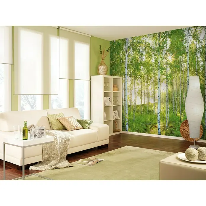 Komar Into Illusions Fototapete Sunday - 4 -tlg., B x H: 368 x 248 cm, Vlies - Wohnzimmer mit weißem Sofa, Beistelltisch und Bücherregal vor einer Fototapete mit Birkenwald für eine natürliche Atmosphäre.