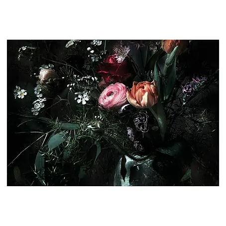Komar Imagine Edition 3 - Stories Fototapete Still Life