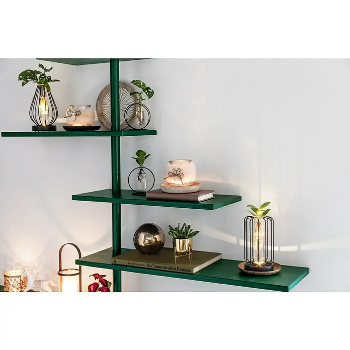 Piardino Zimmerpflanzen-Arrangement Grünpflanze im Glas - Ausführungseigenschaft: 1 x Grünpflanze, 1 x Glasgefäß im bauchigen Metallgestell - Dekoratives grünes Regal mit Pflanzen in Vasen, Windlichtern und einem goldenen Deko-Ball, die eine gemütliche Atmosphäre schaffen.
