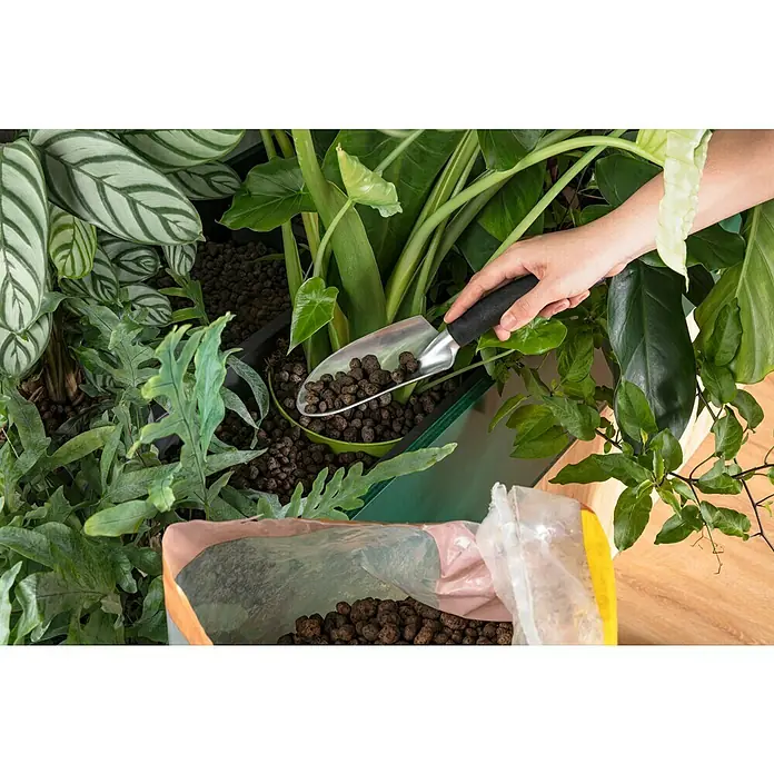 orchideen dngen natrlich Orchideen Dnger von Flora Boost fr gesunde und blhende Pflanzen