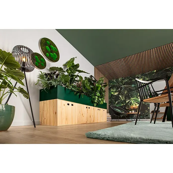 Floragard Tongranulat - 25 l - Einrichtungsidee mit einem Pflanzkasten voller Grünpflanzen auf einem Holzschrank und Dekorationen an der Wand.