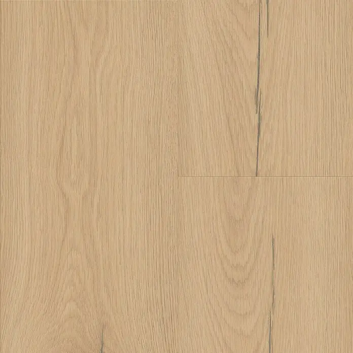 LOGOCLIC Laminatmuster Silentos Eiche Forli296 x 195 x 1 mm, Landhausdiele - Nahaufnahme von hellem, hochwertigem Eichenparkett mit dezenter Maserung und warmen Farbton. Ideal für stilvolle Innenräume.