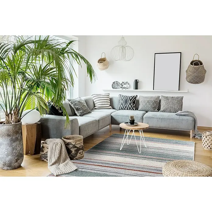 Alfombra de pelo corto Savannah Rayas - Gris, 180 x 120 cm - Salón con sofá gris, planta de interior y elementos decorativos. Una alfombra de rayas completa el ambiente acogedor.