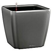 Lechuza Pflanzkasten Quadro Premium (Außenmaß (L x B x H): 35,5 x 35,5 x 32,5 cm, Kunststoff, Grau) | BAUHAUS