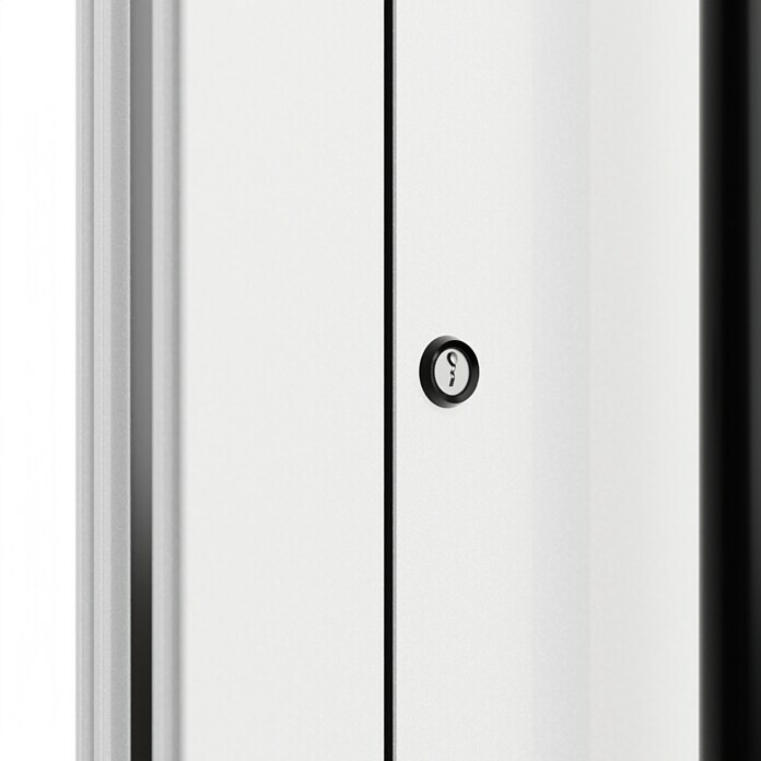 FM Türen Haustür FM90-M61 (110 x 210 cm, DIN Anschlag: Links, Weiß) | BAUHAUS