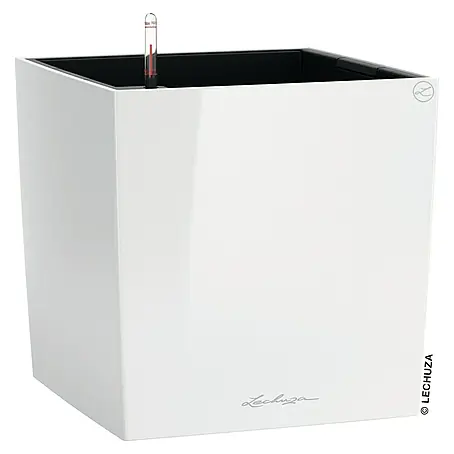 Lechuza Cube Pflanzkübel eckig Premium