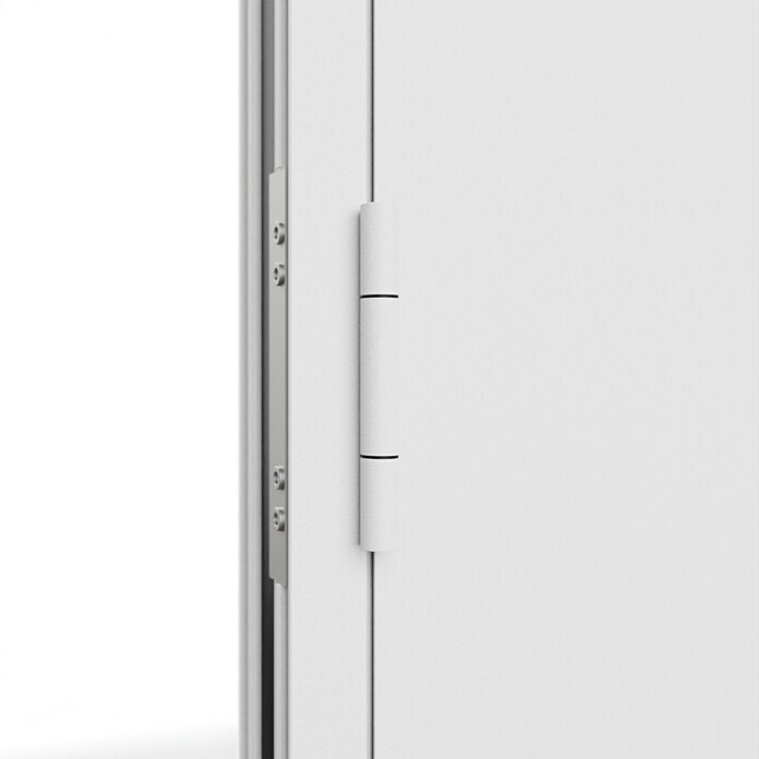 FM Türen Haustür FM90-M61 (110 x 210 cm, DIN Anschlag: Links, Weiß) | BAUHAUS