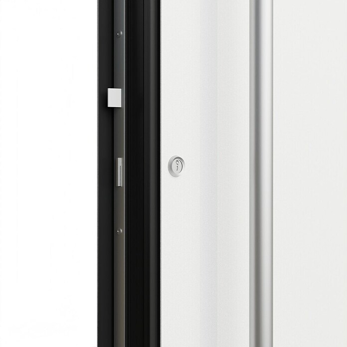 FM Türen Haustür FM90-51 (110 x 210 cm, DIN Anschlag: Links, Weiß) | BAUHAUS