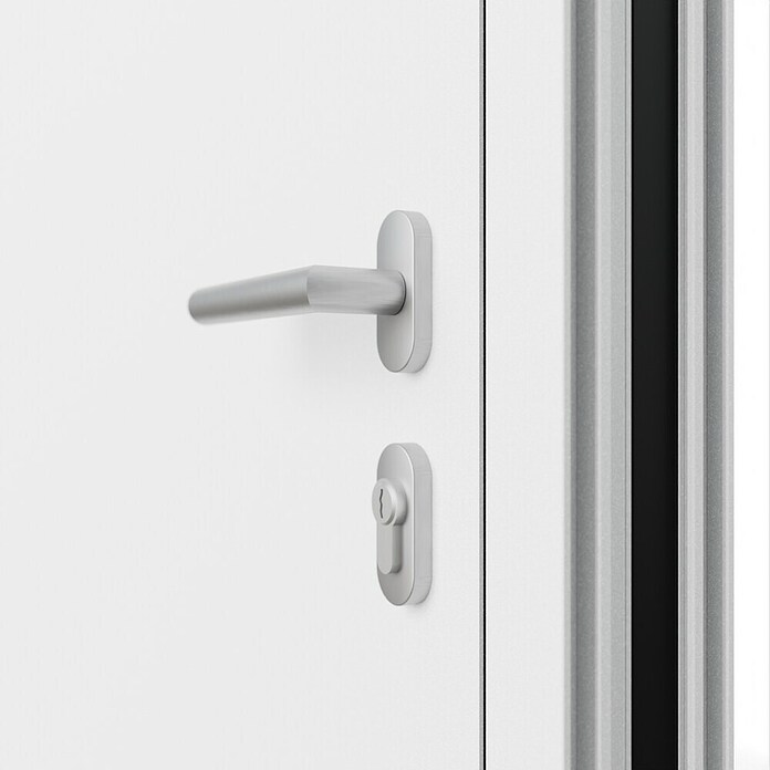FM Türen Haustür FM90-51 (110 x 210 cm, DIN Anschlag: Links, Weiß) | BAUHAUS