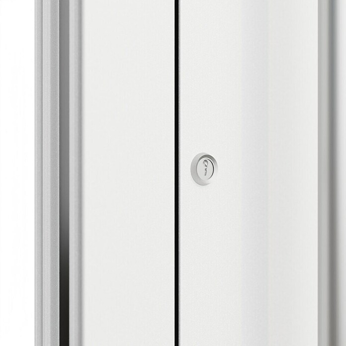 FM Türen Haustür FM90-51 (110 x 210 cm, DIN Anschlag: Links, Weiß) | BAUHAUS
