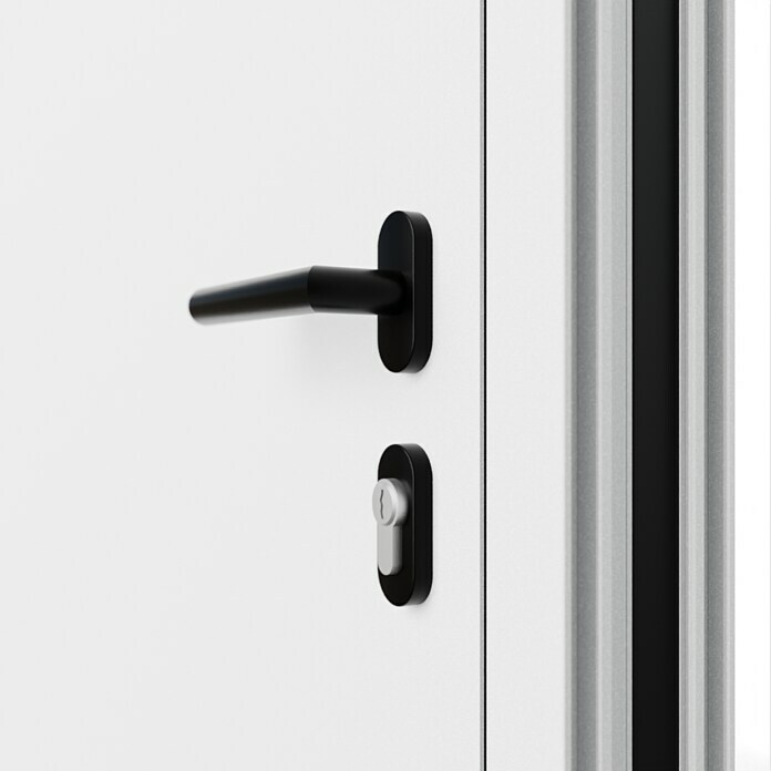 FM Türen Haustür FM90-M61 (110 x 210 cm, DIN Anschlag: Links, Weiß) | BAUHAUS