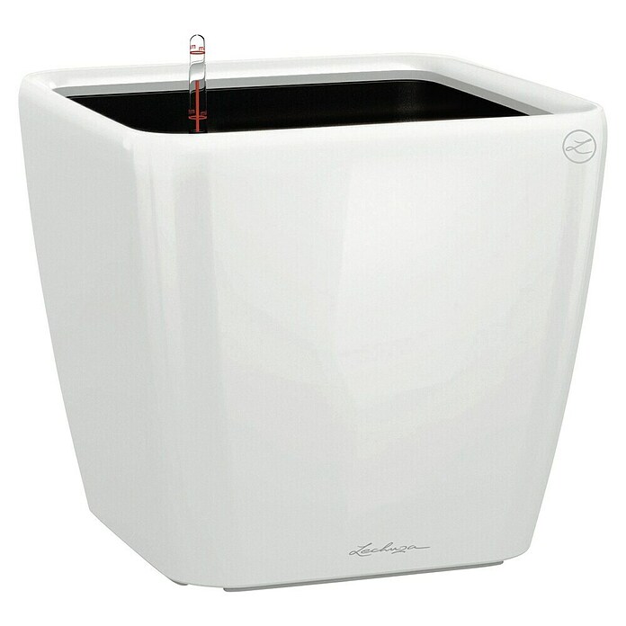 Lechuza Pflanzkasten Quadro Premium (Außenmaß (L x B x H): 35,5 x 35,5 x 32,5 cm, Kunststoff, Weiß) | BAUHAUS