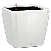 Lechuza Pflanzkasten Quadro Premium (Außenmaß (L x B x H): 35,5 x 35,5 x 32,5 cm, Kunststoff, Weiß) | BAUHAUS